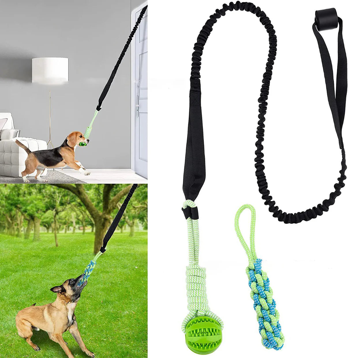 BiteBuddy™ Leash