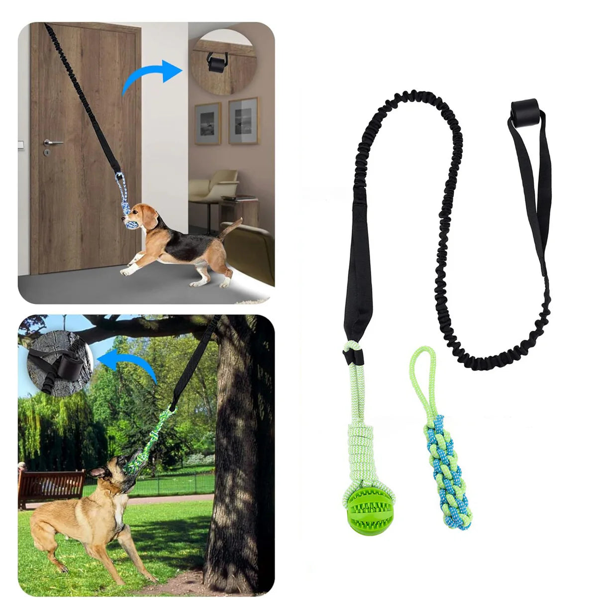 BiteBuddy™ Leash