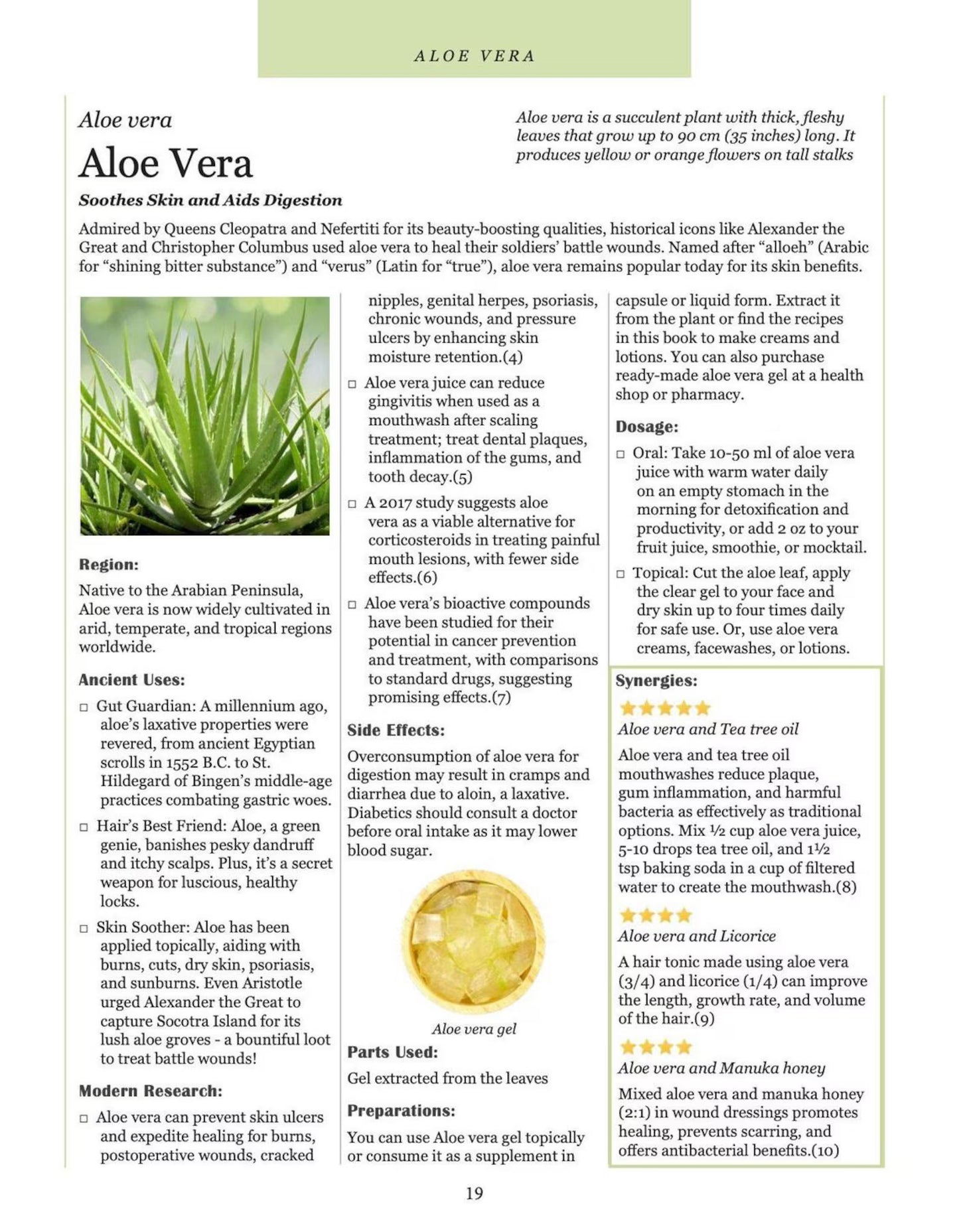 Ancient Remedies Revived || Instant Download Book PDF