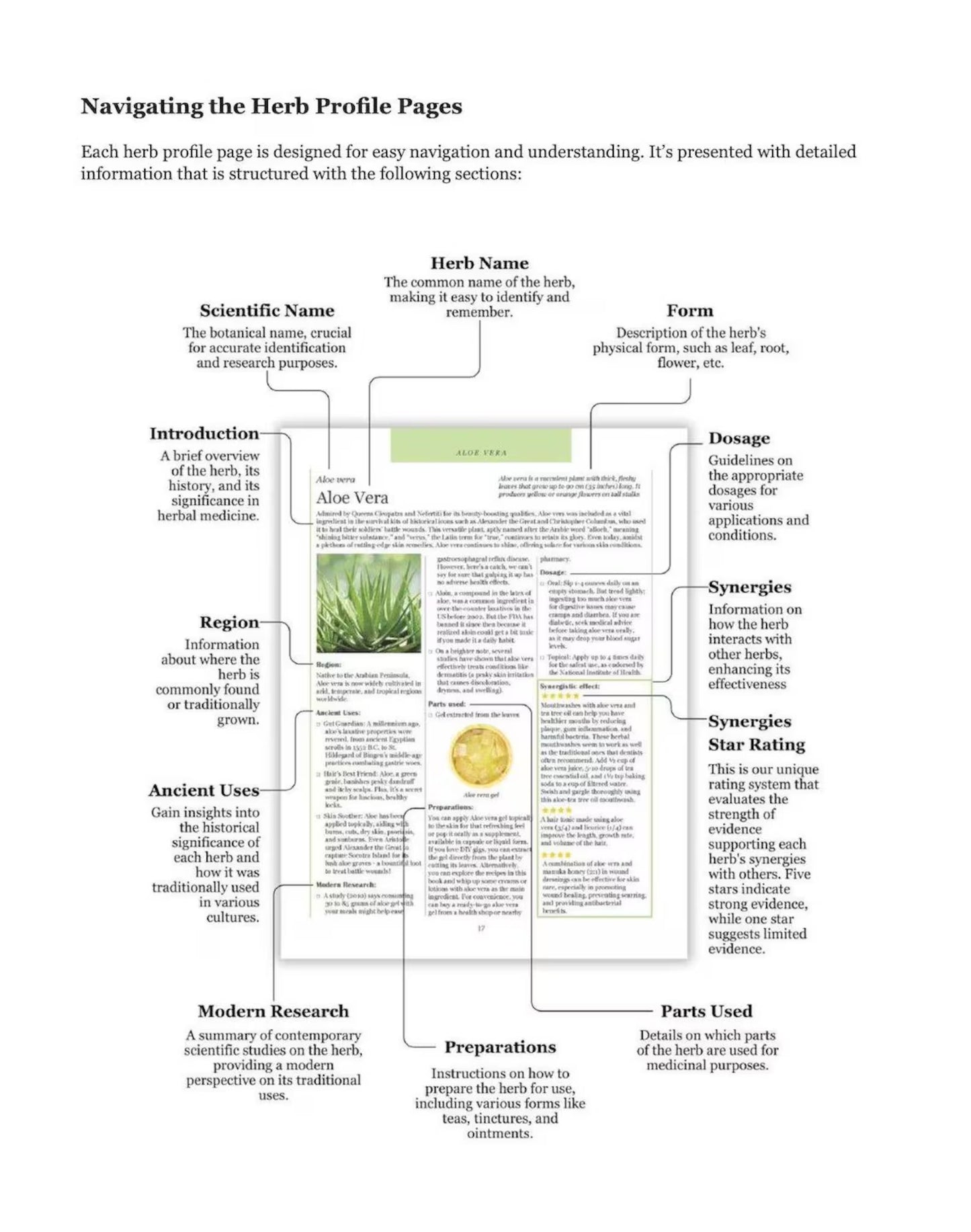 Ancient Remedies Revived || Instant Download Book PDF